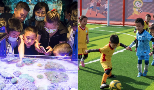 青山不负人，巾帼与童行：这...